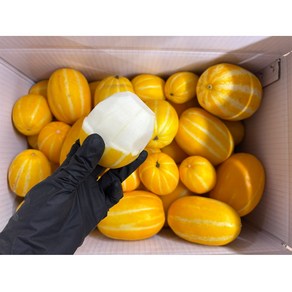성주참외100% 못난이 산지직송, 1박스, 10kg