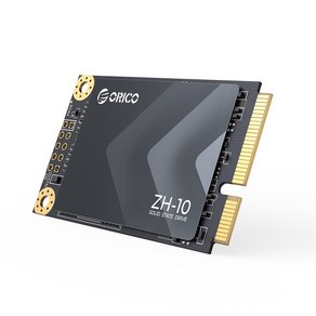 오리코 M.2 SATA NAND 플래시 SSD ZH10, 2TB