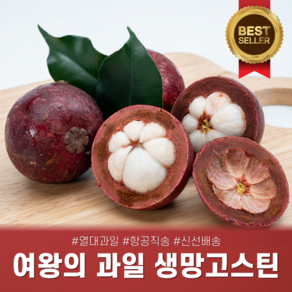 [다정한과일] 태국 열대과일 생망고스틴 (4~7과/망), 망고스틴 500g (500g * 1망), 1세트