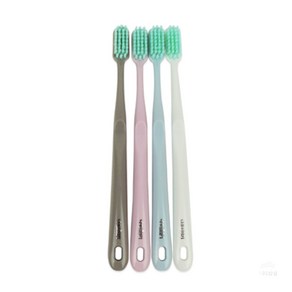 브라이튼 칫솔 부드러운 소프트모 12개입, 1세트