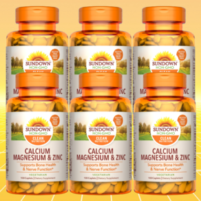 썬다운내추럴스 칼슘마그네슘 칼슘 마그네슘아연 Calcium, 6개, 100정