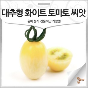 대추형 화이트 토마토 씨앗 방울 토마토씨 종자 10알, 1개