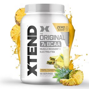 Xtend Scivation 분지쇄아미노산 파우더 1260 gm