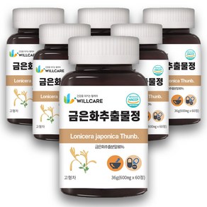 윌케어 금은화 인동꽃봉오리 추출물정 600mg x 60정, 6개