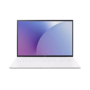 코어i7 11세대 LG 그램 17Z95N 램16G SSD256G 17인치 화이트, 256GB