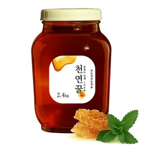 국산꿀 강원도 천연벌꿀 야생화꿀 2.4kg, 1개