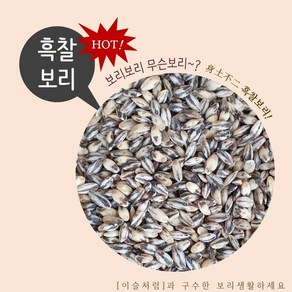 이슬처럼 국내산 검정보리 흑보리 흑찰보리 1kg (2024년산)