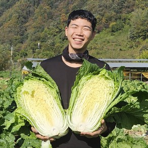 괴산 시골 GAP인증 절임배추 날짜입력필수