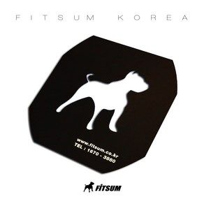 FITSUM 핏섬 배드민턴라켓 스텐실 판 카드 (FT-STS)