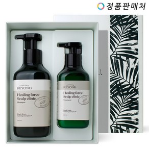 비욘드 힐링포스 스캘프 클리닉 샴푸 500ml + 트리트먼트 300ml 기획 세트, 1개