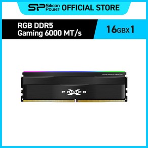 실리콘파워 Silicon Powe DDR5 RGB PC5-48000 CL30 데스크탑 메모리키트, 16GB 블랙, 1개