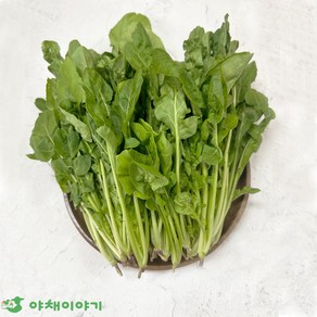 야채이야기 로케트루꼴라 250g 아루굴라 로켓루꼴라, 1개