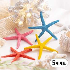 [데코봉봉] 마블 컬러 불가사리 모형 10cm 5개 세트 바다 오브제 여름소품