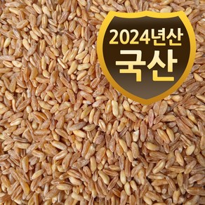 국산 호라산밀 (2024년산) 슈퍼푸드 고대 곡물 통곡물 고대원시곡물, 1개, 5kg