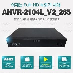 이지피스 AHVR-2104L V2 265 4채널 200만화소 CCTV 녹화기, AHVR-2104L - 1TB, 1개