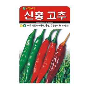 신홍고추 씨앗 100립 맛있게 매운 고추 씨 종자 품종, 1개