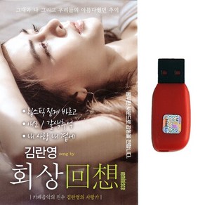 김란영 회상, 1USB