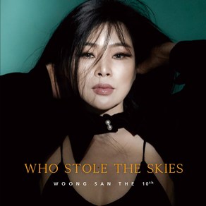 웅산 (WOONG SAN) 10집 (LP) / WHO STOLE THE SKIES (LP/180g 블랙반 + 7인치/LP43203/반품불가)