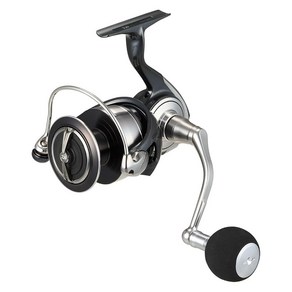 다이와 (DAIWA) 스피닝릴 24 세르테이트 SW 6000-H CERTATE SW