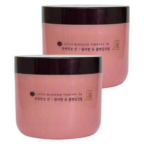 )과일나라 본체청정 연 청아한 유 클렌징 크림300g