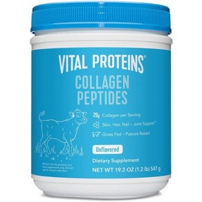 Vital Poteins Collagen 바이탈 프로틴 콜라겐 펩타이드 파우더 무맛 20oz 567g, 1개