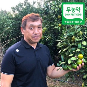 (자연마을) 제주 무농약 노지감귤 밀감