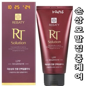 레바티 알티 솔루션 LPP 트리트먼트300ml/극손상모집중케어/단백질트리트먼트, 1개, 300ml