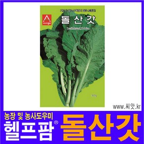 헬프팜 돌산갓30g 씨앗 아시아종묘 종자, 1개