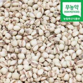 직송 국산 무농약 율무 율무쌀 율무밥 생율무, 500g, 1개