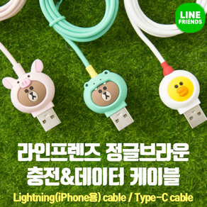 라인프렌즈 아이폰 충전 케이블 고속충전 지원 USB to Lightning (8핀 아이폰), 2개, 치킨샐리, 1m