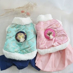 페시얌 강아지 한복 배자 강아지옷 XS-2XL, 민트, 1개