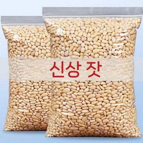 중국잣 500g 장백산잣 진공포장 수입잣 1kg