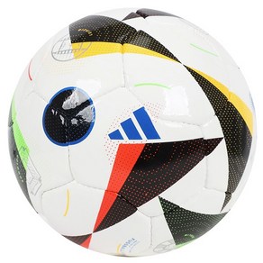 아디다스 풋살공 독일 유로 2024 PRO 살라 Futsal ball, IN9364, 1개