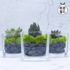 화분월드 흑자갈(소포장) 1.5kg, 1개