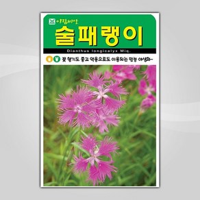 슬로시 꽃 씨앗 고급 꽃씨 야생화 허브씨 종자 모음, 1개