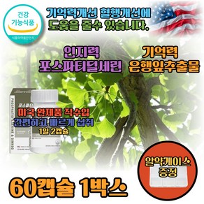 은행잎추출물 플라보노이드 기억력 인지력 뇌건강 포스파티딜세린 포스파티딜세린추천, 1박스, 60정