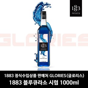 1883루틴 블루큐라소 시럽, 1L, 1개