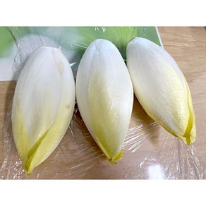 벨기에산 꽃상추 엔다이브 Endive 1알 200g 샐러드채소 달달 아삭 특이식재료 엔다이브 채소 야채 야채왕, 1개