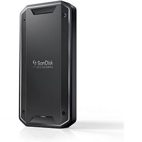 SanDisk Pofessional 4TB PRO G40 SSD 최대 3000MB s Thundebolt 3 40Gbps USB C 10Gbps IP68 먼지 내수성 외장, 2TB