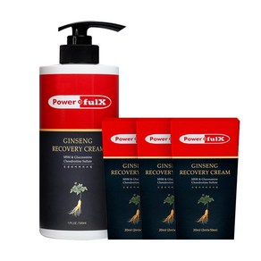 [파워풀엑스] 진생 리커버리크림 파워풀크림, 500ml+60ml(20mlx3)증정 [총560ml], 1개