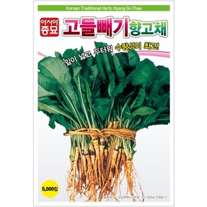 아시아종묘 씨앗 고들빼기 향고채 5000립, 1개