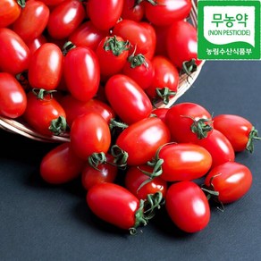 [당일수확발송] 무농약 대추방울토마토 1kg (1-3번과/로얄과)