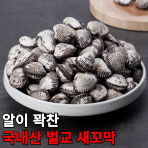 큰바다 국내산 조업한 제철 남해안 여수 벌교 새꼬막, 1개, 상2kg