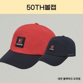 블랙야크 개성 강한 등산 볼캡 모자 50TH볼캡 2BYHTS3921, BLACK, 999