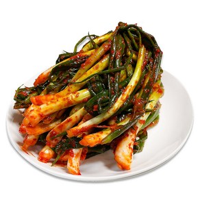 뜰아래김치 국산 파김치, 2kg, 1개