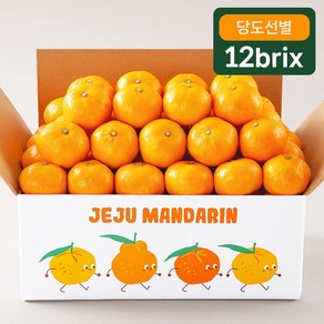 프루미츠 중문농협 엄선한 고당도 타이벡 감귤 2.5kg (12bix), 1개