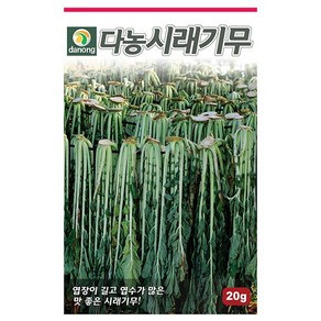 청월 피망 30립 - 씨 씨앗 피망씨 피망씨앗 고추씨 고추씨앗 채소씨 채소씨앗