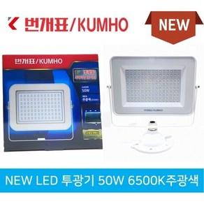 번개표 금호전기 50W LED 노출투광등 투광기 백색바디, 주광색6500K(하얀빛), 1개