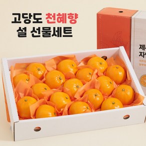 제주 천혜향 3kg 5kg 10kg 가정용 선물용 설 구정 추석 명절 선물세트, 1개, 1) 선물용 3kg 소과