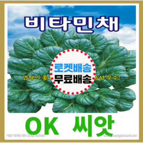 [OK씨앗] [비타민채] 비타민채씨앗 종자(오케이씨앗), 1개